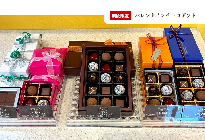 �Ώ�`���R �|���k�t �A���[�� �~���q �{�k�[��