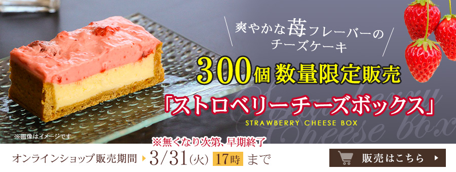 �I�����C���V���b�v�y���ʌ���z�X�g���x���[�`�[�Y�{�b�N�X �I�����C���V���b�v�̔��͂�����