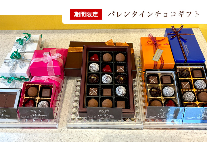 �Ώ�`���R �|���k�t �A���[�� �~���q �{�k�[��